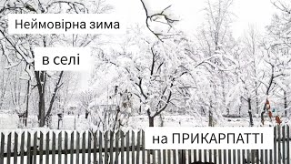 Прийшла ЗИМА в село. МИ СТВОРИЛИ КУХНЮ В ХАТІ. Життя в селі на ПРИКАРПАТТІ. ПЕРЕСЕЛЕНЦІ.