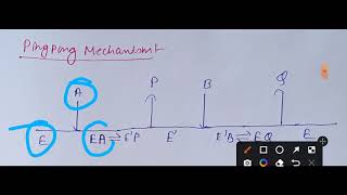 Multi substrate enzymatic reaction