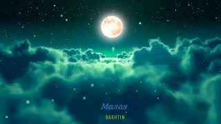 Bakhtin - Малая