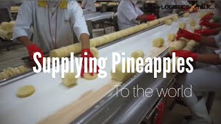 Pineapples Logistics from Indonesia to World