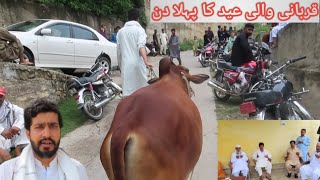 How was my first day of Bakra Eid  2022 || Full Day Routine Blog || Mirpur Azad Kashmir