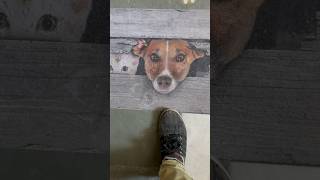 #shorts #viral #dog #animal #ytshorts #video #art