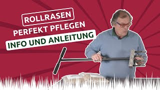 ROLLRASEN perfekt pflegen: Info und Anleitung