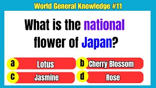 20 Exciting World General Knowledge Questions with 4 Choices | Think You Can Ace It? 🌍 (Part 11)