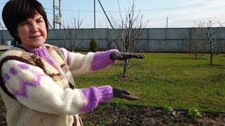 Деньги под ногами. Бесплатное удобрение. Где мы берём тонны мульчи?