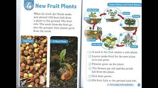 4 New Fruit Plants