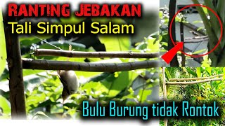 Jebakan Burung dengan Tali Jerat Simpul Salam Seperti Buatan Jaya Channel