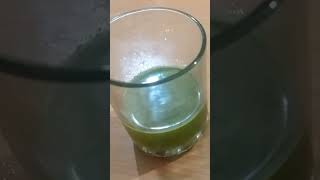 नींबू पुदीने की शिकंजी  | nimbu pudina shikanji | Desi Tadka | Indian Food Recipe | #shorts