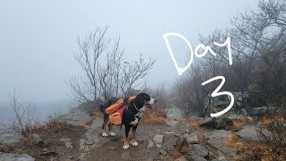 Day 3 Willow Walks - Shenandoah NP (Rain Mitts, Jolly Gear, Baresocks)