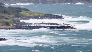 Hawaii Islands | Pride of America Cruise | #shorts