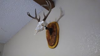 European mount for the 9 pt buck