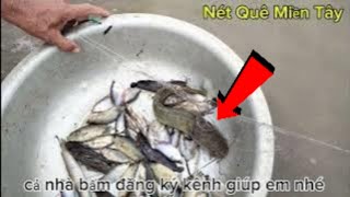 Trời mưa bão ở miền tây thăm lưới thấy Fishing #09