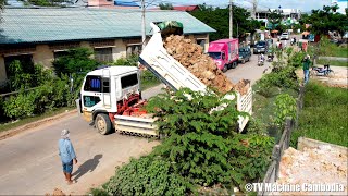 Starting New Action Dozer Removal Clearing Trash With Pushing Soil Road Forage & Truck 5T Unloading