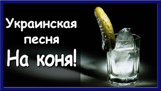 Украинские песни. На коня