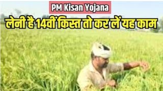 Kisan yojna 14 insttalment Date relese #PM #kisanyojna