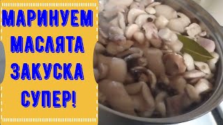 Маринованные маслята. Классная закуска!