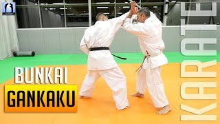 Bunkai Gankaku / Chinto - KARATE 🥋 | Lionel Froidure