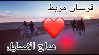 شباب مربط هداج الاصايل  طلعه بالخيل 🐎🐎