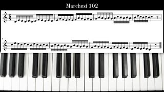 Marchesi 102 Op.31 Vocal Arm Up - Coloratura