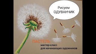 Как нарисовать одуванчик пастелью. Мастер-класс для начинающих художников. @sadova_julija Инстаграм