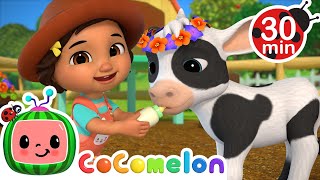 Cute Baby Animals with CoComelon 🐄 La Vaca Lola + Old MacDonald + MORE CoComelon Nursery Rhymes