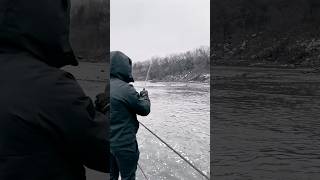 Fighting the big one #fishing #riverfishing #winterfishing #catfish