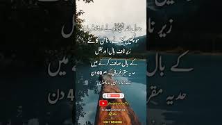 Ye kam jaldi karna | hadees #shorts