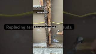 REPLACING Termite Damaged Studs - #tips #diy #homerepair #shortsvideo #shorts