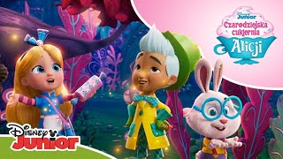 🌳 Wyprawa do magicznego lasu | Czarodziejska cukiernia Alicji | Disney Junior Polska