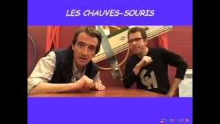 Les chauves-souris