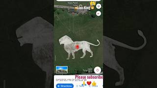 भारत🇮🇳 माता का अपना शेर🦁💪(lion King)#lionking #googlemap #search51.848637, -0.55462#viral #shorts