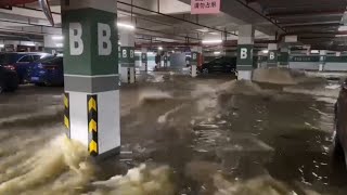 City become ocean, China cars are ruined! Water depth reaches 1.5 meter in Guangdong