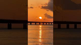 A Magical Sunset 🌞 #beach #seashells #life #sunset #beachcomber #sun