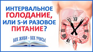 Интервальное ГОЛОДАНИЕ без ошибок! Как правильно начать? Жир, инсулин, глюкоза, перекусы, аутофагия.