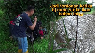 Jadi tontonan ketika haji nunu strike ikan babon ini😱