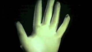 81810 - White glove