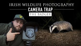 Irish Badger-  Camtraption Camera Trap Wilderness bundle (Irish Wildlife Photography)