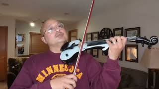 I Dreamed a Dream from Les Miserables on Electric Violin 2024