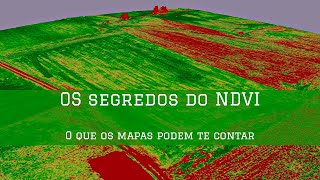 NDVI - Os segredos que ele pode te mostrar - Live #002