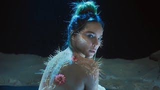 Belinda - Cactus