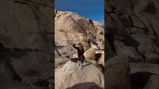 the girls are girling #joshuatree #girlstrip #friendship #girlsbelike