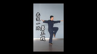 Chen style Tai Chi Old Frame first routine, 74 forms, with instructions – PART 3/6