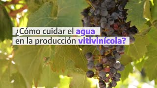 Asistencia del INTI a una bodega para cuidar el agua y mitigar su impacto ambiental #UnINTIcerca