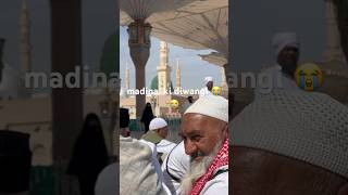 madina ki diwangi ma jhume log😭#youtubeshorts #viralvideo #islamicshorts #2024 #madina