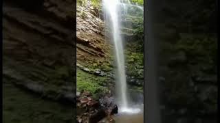 Waterfall #nature #short