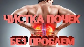 Как  почистить почки народными средствами