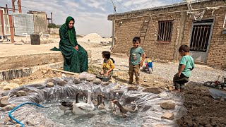 Swimming Spot for Their Feathered Friends: A Single Mom's Creative Solution