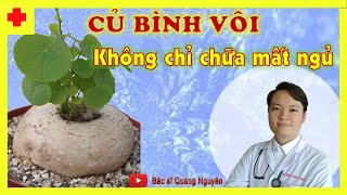 Tác dụng của CỦ BÌNH VÔI nhiều đến không ngờ | BS. Đoàn Quang Nguyên -Tập 023 -công dụng, cách dùng