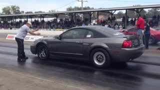 2014 GT500/Terminator Shootout - Round 2 Eliminations | Marshall Carpenter vs 2003 Turbo Cobra