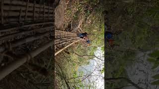 Bamboo trek mawryngkhang  meghalaya